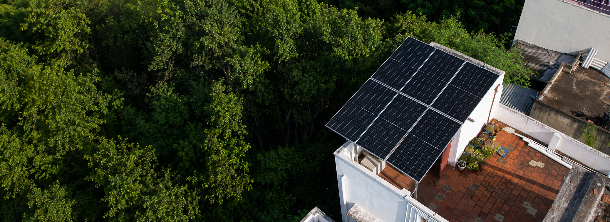 Rooftop solar panels surrounded by trees